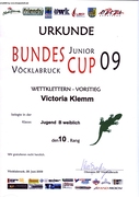 Urkunde JuniorCup 2009